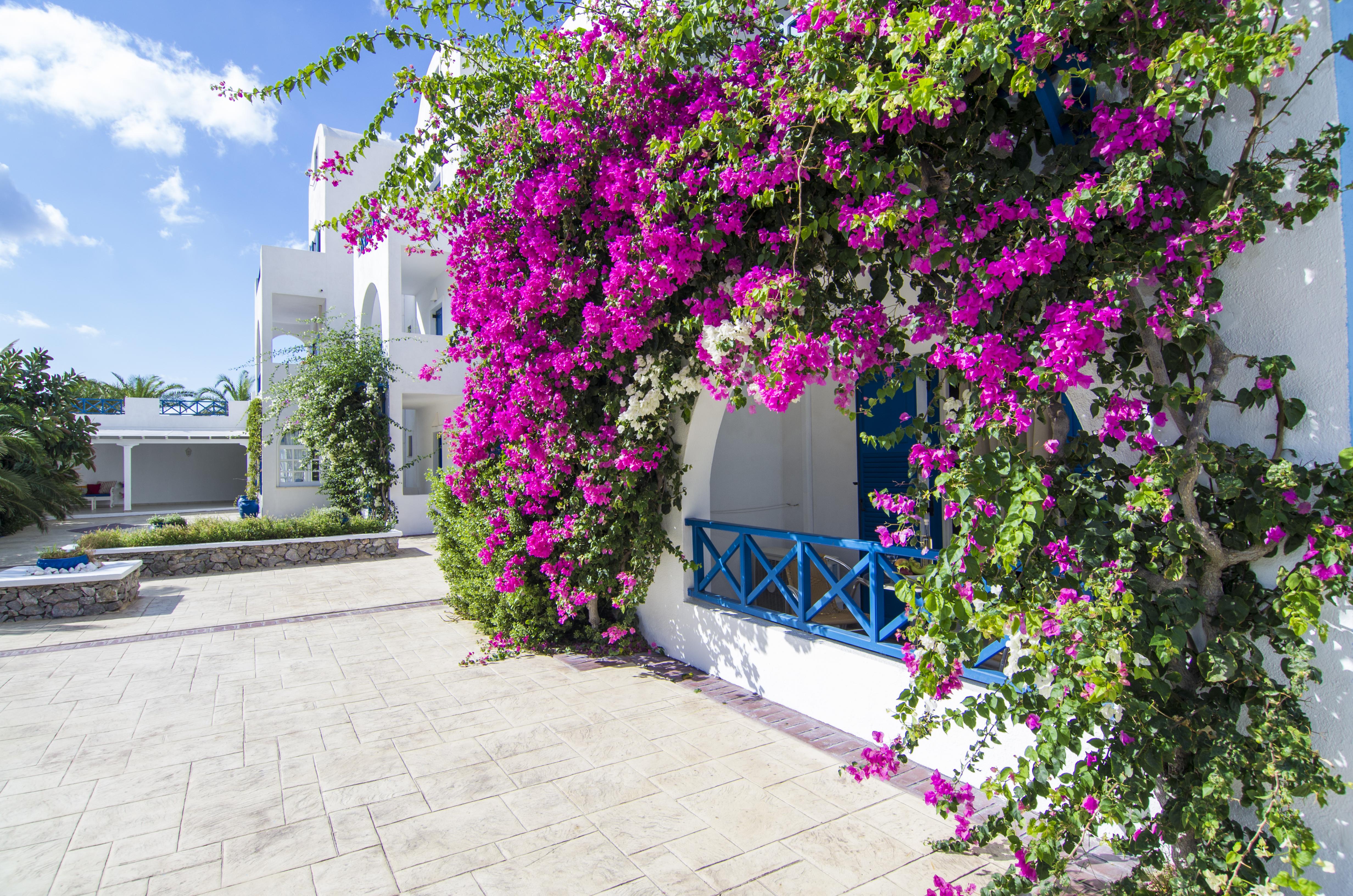 Margarenia Aparthotel Περίσσα Εξωτερικό φωτογραφία
